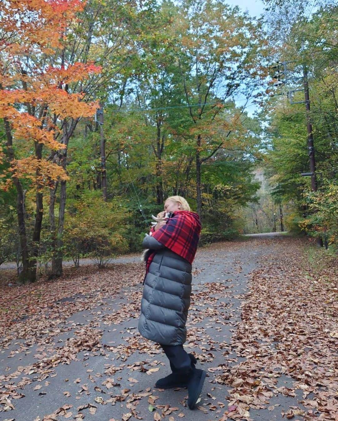 IKKO【公式】さんのインスタグラム写真 - (IKKO【公式】Instagram)「IKKOのゆっくり時間〜❤️❤️❤️  落ち葉がキレイね🍂🍂🍂 私の心を穏やかにしてくれる❤️❤️❤️  この景色が大好き〜🍁🍁🍁  抱いてるのはペコとドゥース🐶✨✨  この空気感に暖色系のダウンライトがなんとも言えなく私は大好き💡✨✨ どんだけ〜❤️❤️❤️」10月17日 14時38分 - love_ikko