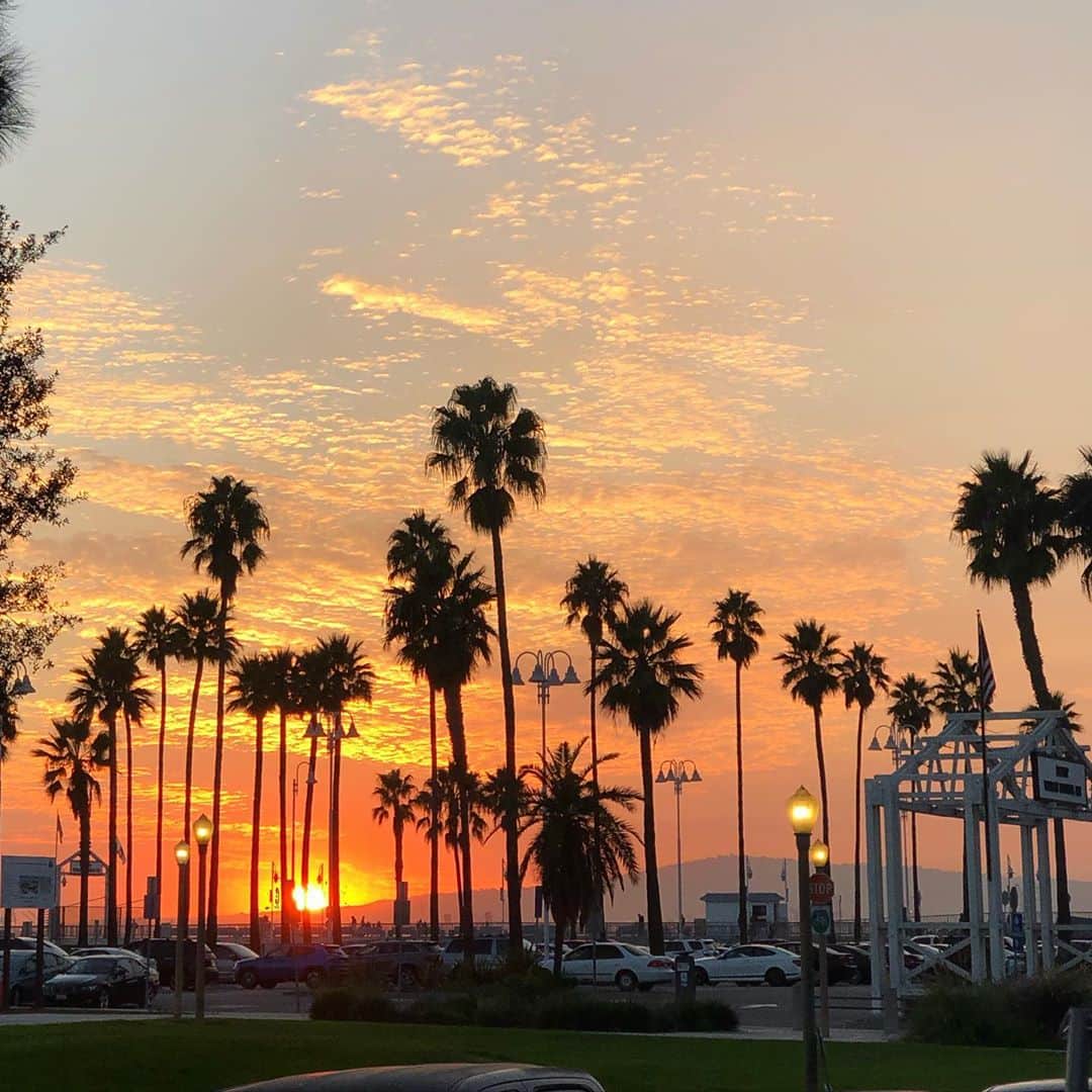 Samuel Lippkeのインスタグラム：「Tonight vs last night. Southern California sunset battles. Which one you got? Warm humid nights are my favorite, love Long Beach in October.」