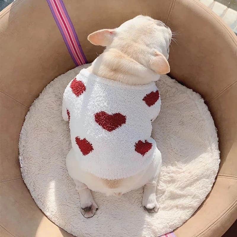 French Bulldogさんのインスタグラム写真 - (French BulldogInstagram)「Keep your Frenchie all snuggled up with this fluffy ❤ Hearts ❤Fleece French Bulldog Sweater by @frenchie.world . . . . . #frenchie #frenchies  #französischebulldogge #frenchbulldog #frenchbulldogs #dog #dogsofinstagram #frenchieworld #bully #bulldog #bulldogfrances #フレンチブルドッグ #フレンチブルドッグ #フレブル #ワンコ #frenchiesgram #frenchbulldogsofinstagram #ilovemyfrenchie #batpig #buhi」10月18日 2時10分 - frenchie.world