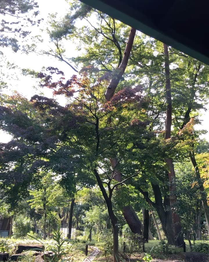 池田彩のインスタグラム
