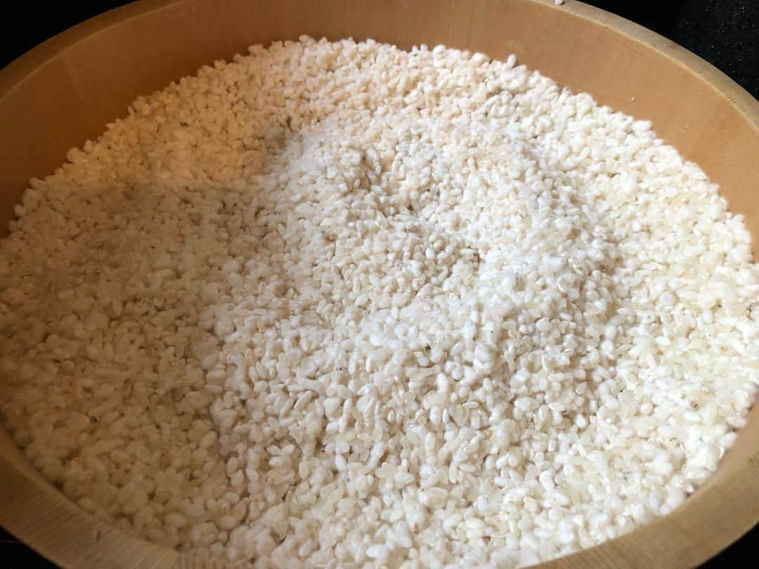 日登美さんのインスタグラム写真 - (日登美Instagram)「Homework, making Koji, bottling Miso, with some classical music. This how I spend a day at autumn holidays . Everything happening on the table...No need to go anywhere...  秋休みとは言え、コロナの感染も増えつつあるドイツ。今年はやはりどこにも行かず、朝は好きなだけ寝て、のんびり過ごす秋休み。  日本語の鬼ほどある宿題を見守る傍ら、麹を仕込み、味噌壺を片付ける。バックミュージックにはキンダークラシック(子供向けセレクトクラシック音楽)を。  秋休みどうするかなぁ、と思っていたけど、学校始まると日々送り迎えに雑用に忙しく暇がなくて出来なかったことがたくさんあることに気づき、少しずつとりかかる。  麹作りて、ほんと自宅時間があるときに最適だなぁ。家を出る必要ないから急がなくていいし、手入れの時間のやりくりも考えなくていい。あー楽だ！  さーて、残りの1週間は歯医者の予約やらなんやら。暮らしを整える、て意外と地味な作業なんですよねぇ😅  #spending #time #athome #family #reality #autumn #holiday #withkids #momslife #berlin #秋休み #丁寧な暮らし #現実 #地味 #そんなもんさ #育児 #子育て #ママライフ」10月17日 18時30分 - hitomihigashi_b