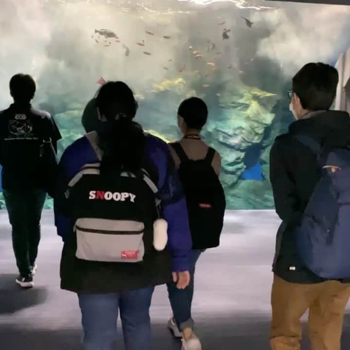 のインスタグラム：「本日は高等課程の遠足でした☀️ #マリンワールド海の中道 にて 水族館アクアリスト専攻の先輩に解説してもらいながら、水族館見学を楽しんでいました🐬✨ #福岡eco #福岡eco動物海洋専門学校  #高等課程 #水族館 #遠足」