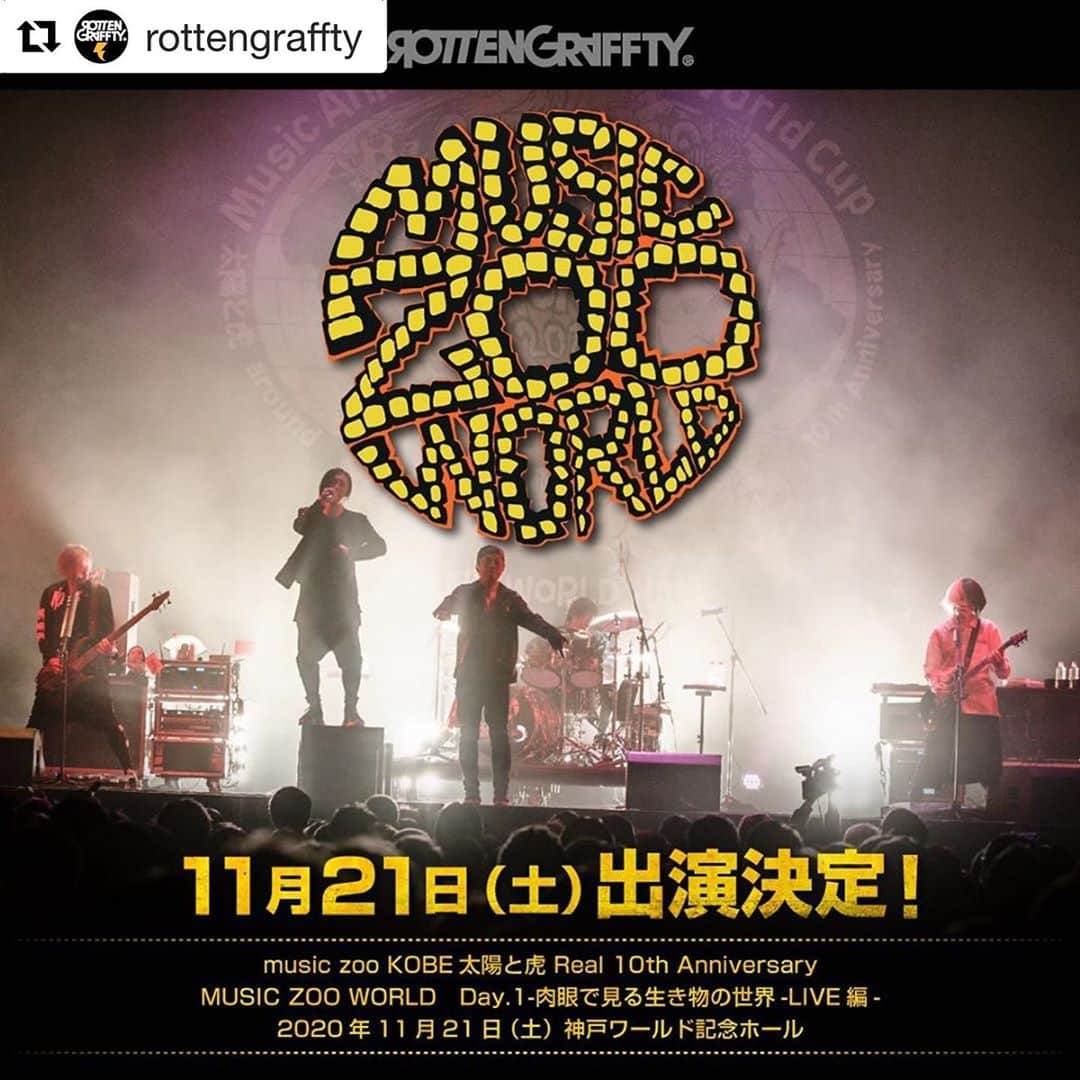 侑威地さんのインスタグラム写真 - (侑威地Instagram)「#Repost @rottengraffty with @get_repost ・・・ 11/21 神戸ワールド記念ホール﻿ music zoo KOBE太陽と⻁ Real 10th Anniversary "MUSIC ZOO WORLD Day.1"﻿ -肉眼で見る生き物の世界-LIVE編-出演決定‼️﻿ ﻿ ※タイムテーブル等は後日となります。﻿ ﻿ ﻿ #ズーワル」10月17日 18時34分 - yuichi_rotten