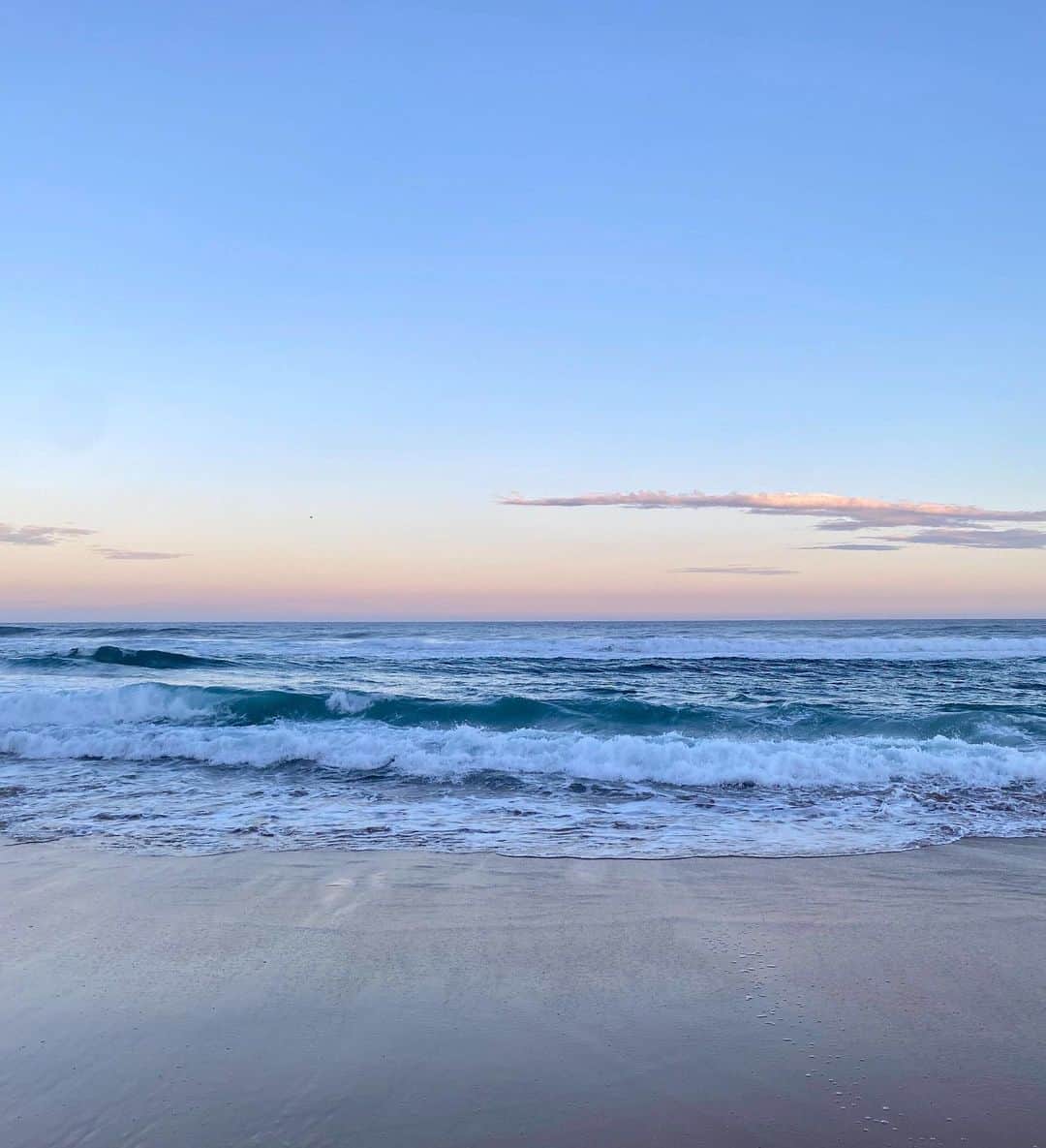 The Horseさんのインスタグラム写真 - (The HorseInstagram)「Watching the waves at Garie Beach, NSW」10月17日 18時47分 - the_horse