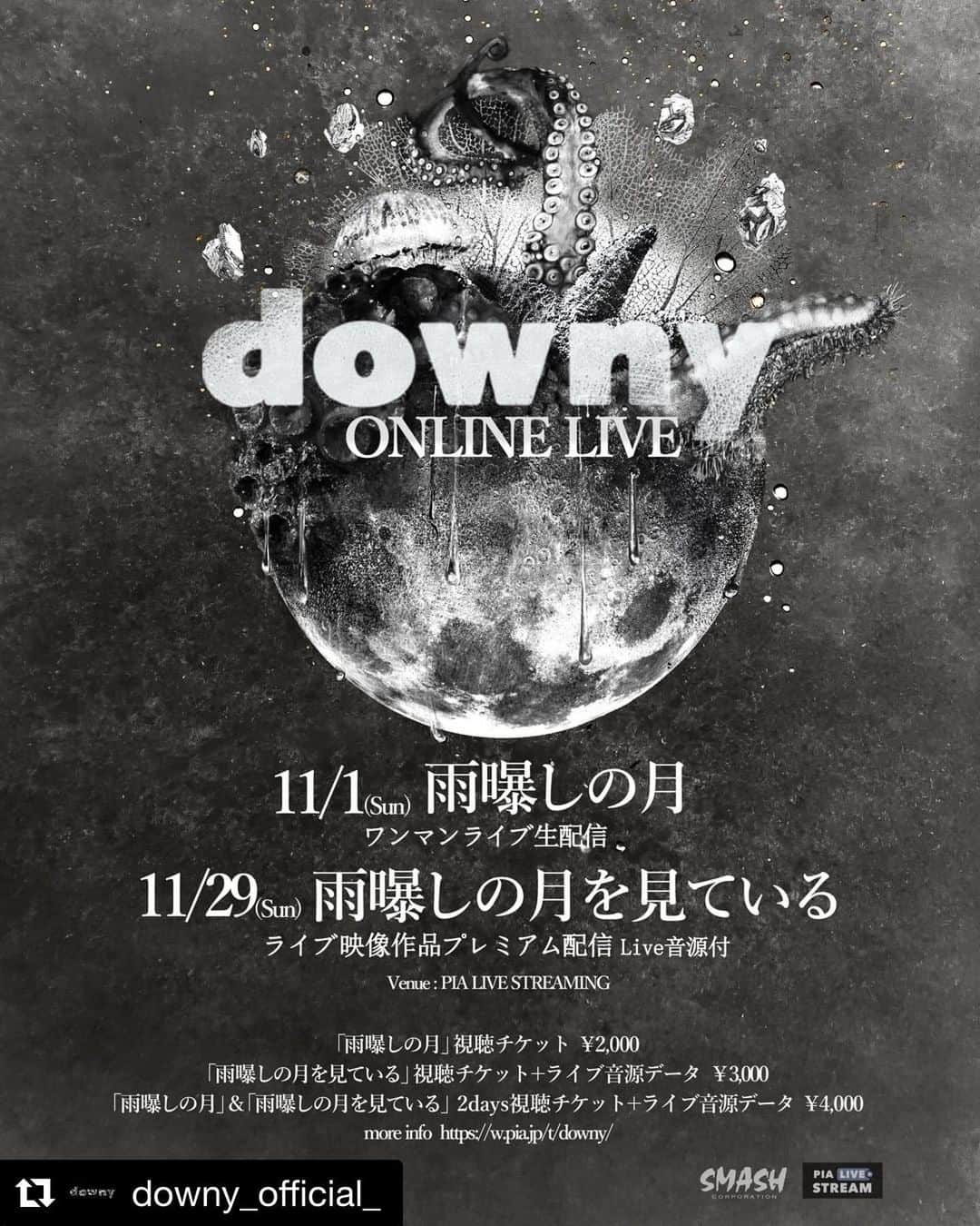 青木ロビンさんのインスタグラム写真 - (青木ロビンInstagram)「We are happy to announce downy live can be streamed from overseas. Please reserve tickets for November 1 (Sun) and November 29 (Sun), 2020.   See you there!  For overseas ticket reservations, access:  w.pia.jp/a/downy-plseng/」10月17日 18時44分 - aokirobin