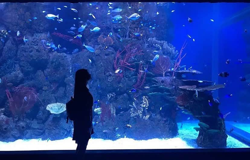 ソニア・ナタリアさんのインスタグラム写真 - (ソニア・ナタリアInstagram)「🐠🐟🦈」10月17日 18時44分 - sonianatalia_w