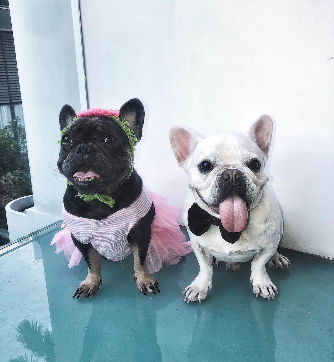 アリッサのインスタグラム：「prom 2020 💕 #awissadogz #beautifulcouple #rehearsalwedding x」