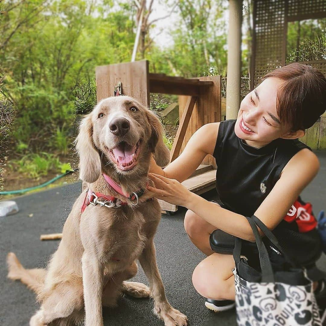 保坂玲奈さんのインスタグラム写真 - (保坂玲奈Instagram)「千葉バーディのはなちゃん🐶🤍  今日はみんなでゴルフ合宿⛳ 楽しむぞ〜😘  #千葉バーディ#ゴルフ#ゴルフ女子旅 #ゴルフ女子#インスタゴルフ女子#golf」10月17日 19時07分 - __renao_0707