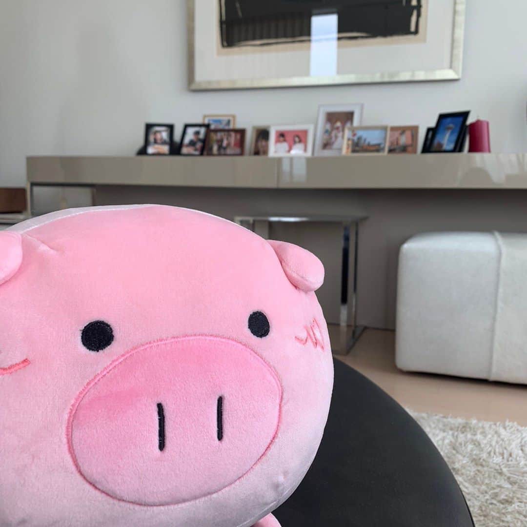 日曜劇場『危険なビーナス』【公式】のインスタグラム：「現場レポート　その20🐖🐖🐖 . . 今日は土曜日... 明日の2️⃣話が待ち遠しいなぁ🥺💦 . みんな怪しいけど 私には優しくしてくれるから 疑いたくない😵 . ...なんて明人さんのおうちで物思いにふける私...🐷 . 飾られている写真もチェックしてきました🐽 どれも、楓さんと明人さんが素敵な笑顔😊 いろんなところに旅行に行っているみたい…✈︎ . . #日曜劇場 #危険なビーナス #東野圭吾 #ブーナス #ブーナスの現場レポート #妻夫木聡 #吉高由里子 #ディーンフジオカ #染谷将太 #中村アン #堀田真由 #結木滉星 #福田麻貴 #3時のヒロイン #R指定 #CreepyNuts #麻生祐未 #坂井真紀 #安蘭けい #田口浩正 #池内万作 #栗田芳宏 #栗原英雄 #斉藤由貴 #戸田恵子 #小日向文世」