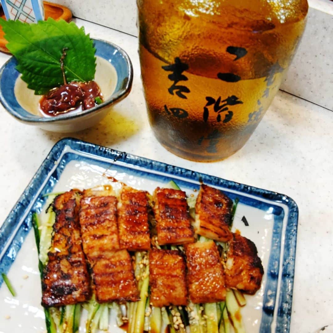 菊田あや子さんのインスタグラム写真 - (菊田あや子Instagram)「歯の治療33000円なり👀  ま、高いか安いか⁉️セラミックのかぶせ代金 歯を大事に生きる❗️これも終活なのよね  東京都のオーバー50歳への冊子❗️  人生100年は普通になってきたし、都も歯医者に配りまくり、患者さんへばら撒き(笑)  池袋で弟ぶん達と情報交換&飲食店応援‼️昔ながらの寿司屋さんでツマミ色々🐟️  麦焼酎吉四六！ソーダ割りがウマイ😁 まじかコレ？くらいにウマカッタ🙌  #菊田あや子 #グルメリポーター  #テレビリポーター  #歯医者さん  #セラミックかぶせ #歯を大切に  #池袋寿司屋 #飲食店応援 #東京都長寿課 #山口ふるさと大使  #しものせき海響大使  #認知症サポーター #終活ガイド  #エンディングノートセミナー @ako.ayakokikuta3」10月17日 19時55分 - ako.ayakokikuta