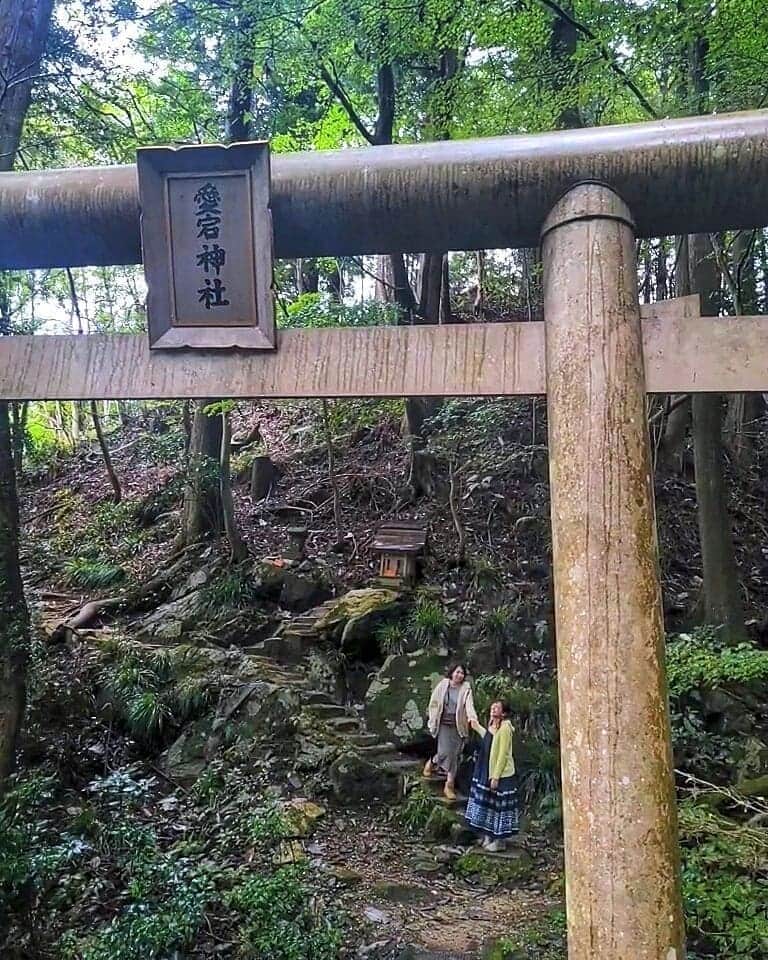 芳美リンのグルメインスタ