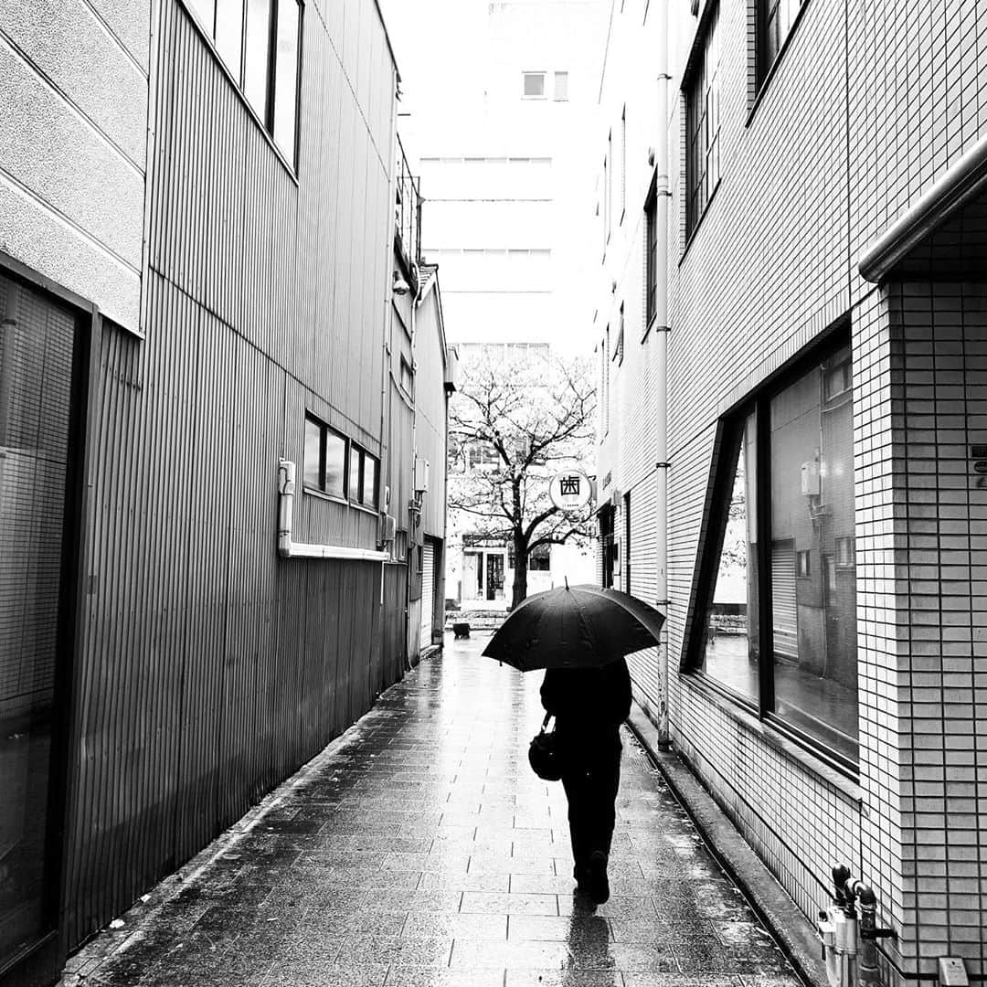naotakeのインスタグラム：「雨 - A rainy day / iPhone XR & Snapseed, 20201018 . . 楽しいときはすぐに過ぎていく。 . . bw12 #spicollective #royalsnappingartists #infamous_family #rsa_main #infinity_photo_cult #2_fineart #jp_gallery_member #jp_gallery_bnw #trb_bnw #wp_bnw  #bnw_life #bnwlife_member #bnw_life_shots #bnw_captures #world_bnw #top_bnw #team_jp_ #team_jp_モノクロ #ig_energy_bw #ig_nihon #streetphotographybnw #igersjp #blackandwhite #bnw #bnwphoto #monochrome #bw #bnwphotography #ShotOniPhone #shotoniphoneXR」