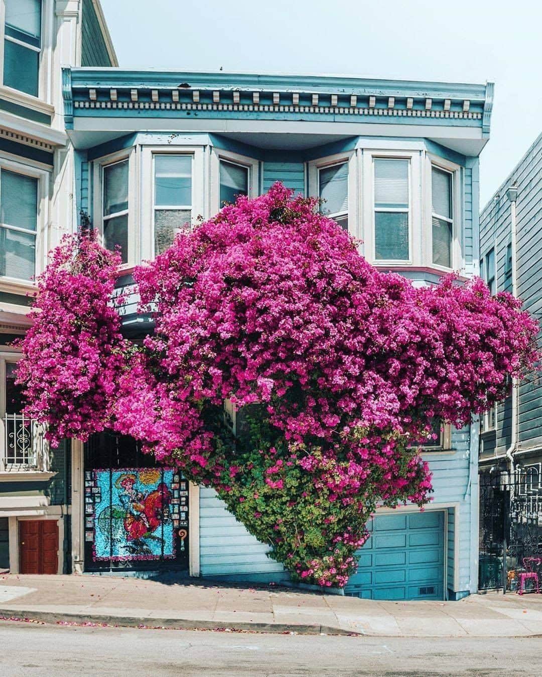 9GAGさんのインスタグラム写真 - (9GAGInstagram)「Which house is your favourite? Follow @voyaged to discover more about the world 🌍 - 📷 @lumadeline - #9gag #voyaged #travel #sanfrancisco」10月17日 20時30分 - 9gag