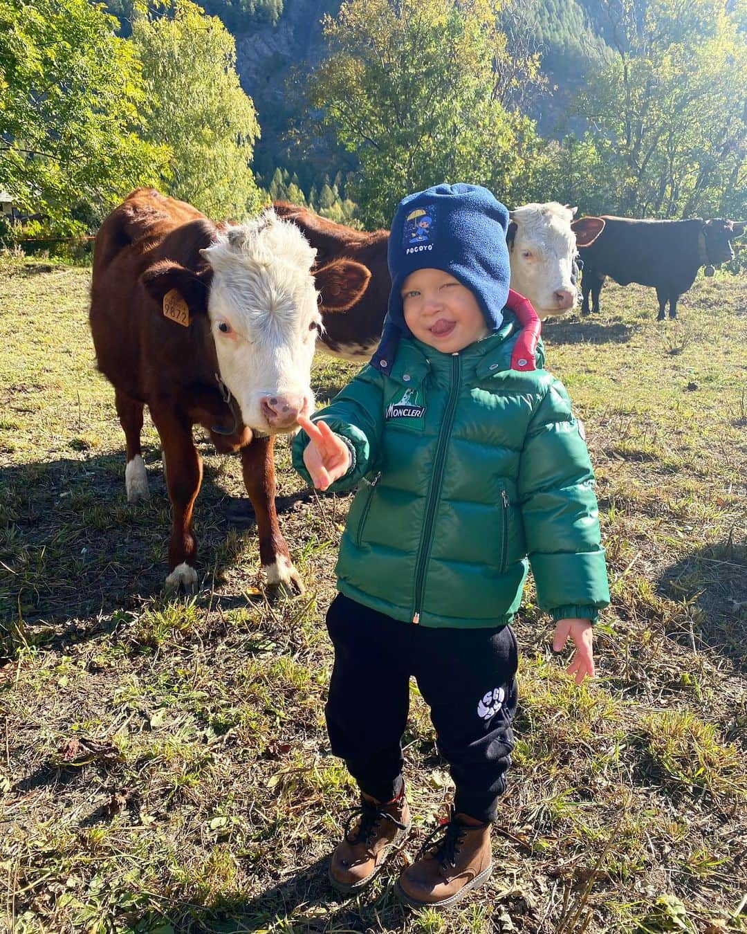 キアラ・フェラーニさんのインスタグラム写真 - (キアラ・フェラーニInstagram)「Morning with cows 🐮 #supplied」10月17日 20時52分 - chiaraferragni