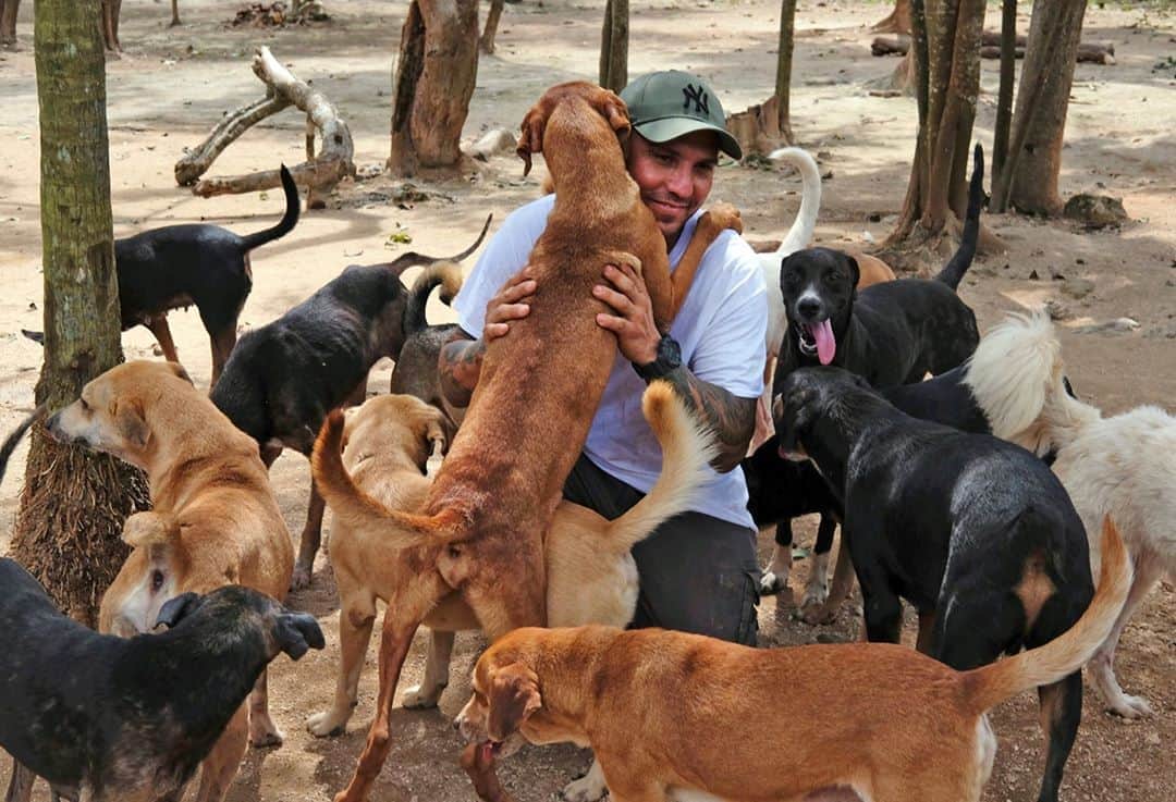 NBC Newsさんのインスタグラム写真 - (NBC NewsInstagram)「As Hurricane Delta closed in on Mexico’s Yucatan Peninsula, ⁠Ricardo Pimentel opened his home to 300 dogs and other animals. ⁠ ⁠ It all started with a social media post. Pimentel told friends he boarded up windows at the Tierra de Animales (Land of Animals) shelter he founded nearly a decade ago. He asked for donations due to possible food shortages and moved the animals inside to safety. ⁠ ⁠ “It doesn’t matter if the house is dirty, it can be cleaned,” Pimentel says. “The things they broke can be fixed or bought again, but what’s beautiful is to see them happy, healthy and safe, without wounds and with the possibility of being adopted.”⁠ ⁠ Tap the link in our bio for more.⁠ ⁠ 📷 Luis Andres Henao / @apnews」10月17日 21時02分 - nbcnews