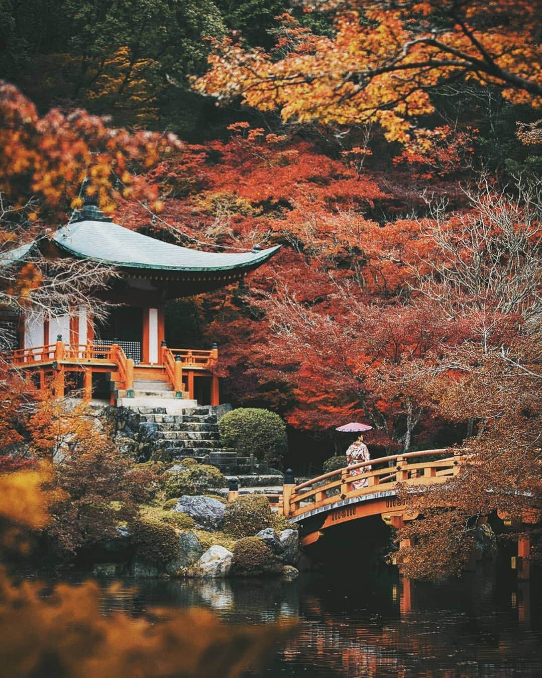 Berlin Tokyoのインスタグラム：「Humble yet exquisite, Kyoto’s cultural heritages represent Japanese appreciation of nature and the traditions. . . . #hellofrom #kyoto, #japan」