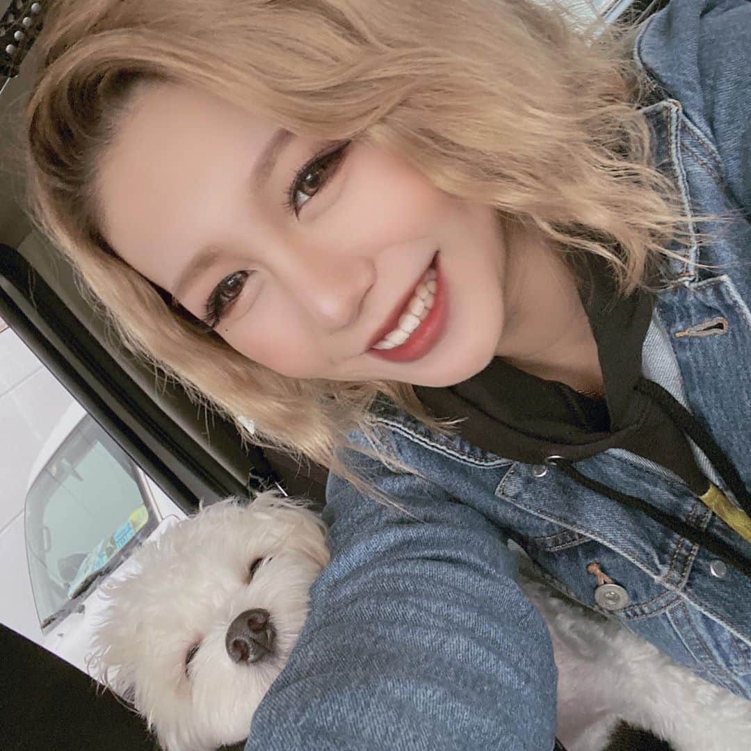 りこぴのインスタグラム：「すーぷーもちゃ🐕🐕🐕💞」