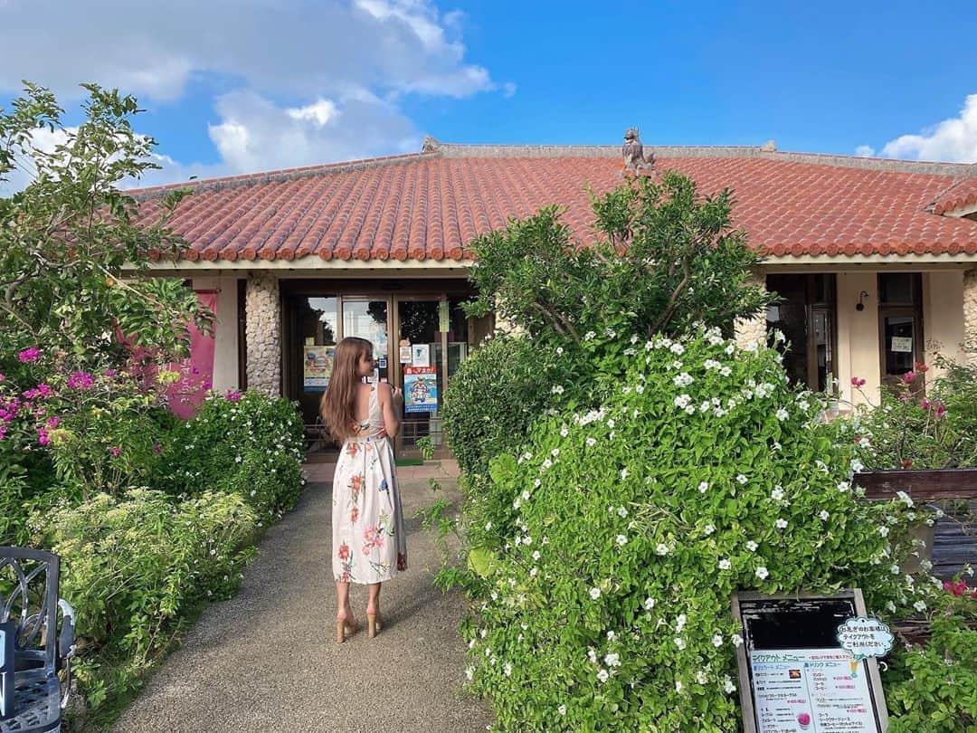 RIKAのインスタグラム：「🌳🏠🕊✨🌼」