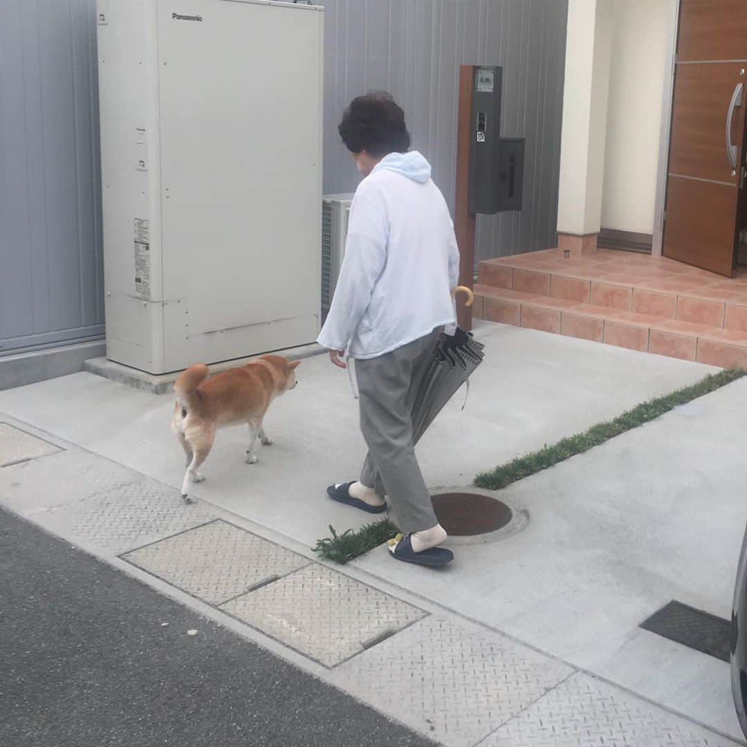 HALFBYのインスタグラム：「クロスオーバー」