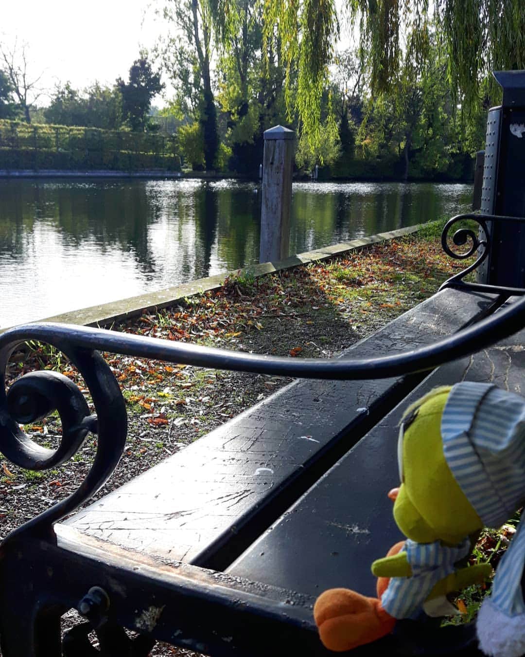 Little Yellow Birdさんのインスタグラム写真 - (Little Yellow BirdInstagram)「Enjoying a peaceful quiet Saturday. Not much going on. And sometimes that's perfectly fine. #littleyellowbird #tweety #tweetykweelapis #adventures #yellow #bird #weekend #saturday #autumn #fall #herfst #october #loenenaandevecht #bench #river #riverview #vecht #peaceful #stuffedanimalsofinstagram #plushiesofinstagram」10月17日 22時01分 - tweetykweelapis