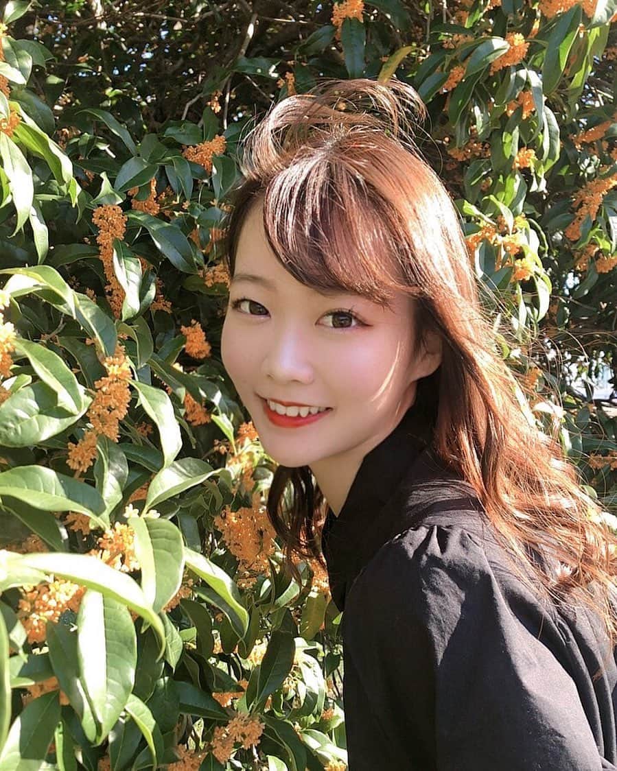 齋藤佳穂のインスタグラム：「君のイメージ金木犀よ〜♪  #ミスコン #ミスキャン #黒コーデ #金木犀 #金木犀の香り #秋コーデ #秋服コーデ #秋冬コーデ #真っ黒コーデ #秋カラー #京都」