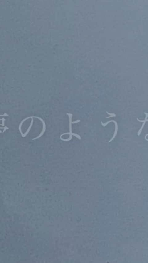 春川芽生のインスタグラム