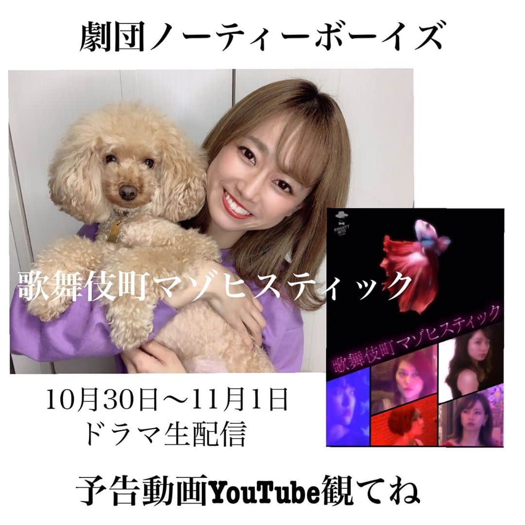 藤澤友千菜のインスタグラム：「❁⃘*.ﾟ * YouTube動画アップしました!! https://youtu.be/1TnAv9Fcd84 ❁⃘*.ﾟ 劇団ノーティーボーイズ ドラマ？生配信やります＼(^o^)／ 10月30.31日、11月1日の3日間 チケットはこちらより🤍 https://twitcasting.tv/2015naughtyboys/shop 配信なので携帯やパソコンがあれば どこでも観れるよ🤍🧡🤍 よろしくお願い致します( ´ ` ) **˟*˟⁕˟*˟**˟*˟⁕**˟*˟⁕˟*˟**˟*˟⁕ #劇団ノーティーボーイズ #ノーティーボーイズ #藤澤友千菜 #ユーチューブ #舞台 #ドラマ #生配信 #女優 #歌舞伎町 #歌舞伎町マゾヒスティック #観てね #フォロミー #いつもありがとう #instagram #followｍe #actor #model #dog #toypoodle #youtube」