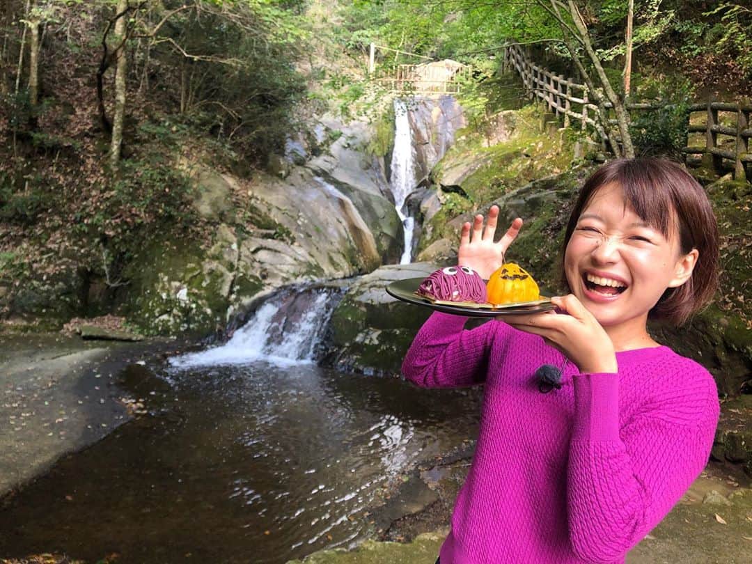 有田優理香のインスタグラム：「おいしいもの、優しい人、きれいな景色、いろんな出会いのあるひろおく便り🍁  #広島テレビ　#ひろおく便り#府中市　#パティスリーパンセ #三郎の滝 #食欲の秋がとまらない　#実はサインあります笑　#新人時代系列同期と焼き鳥屋で考えたやつ」