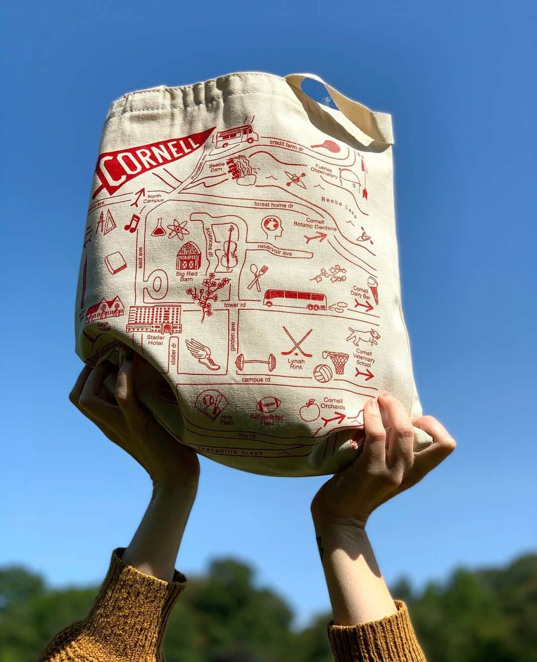 マップトートさんのインスタグラム写真 - (マップトートInstagram)「We love working on college campus designs! The maps are always fun and we get to reminisce on those #CollegeDays Find this tote at @thecornellstore⁠ .⁠ .⁠ #Cornell #TheCornellStore #CollegiateGear #CustomMaptote」10月17日 23時25分 - maptote