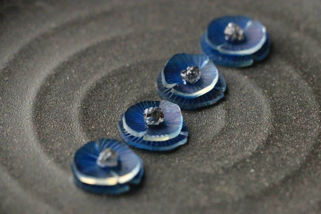 しば　さおりのインスタグラム：「青くて深い、ひなげしをイメージした作品。  黒いお皿にのせていると キリッとしまった表情に見える。  こちらの作品は手作市場新宿マルイ本館店へ納品済みです。  お近くへお越しの際はお立ち寄り頂けたら嬉しいです(*^^*)  少しずつですが、SNSセミナー気に掛けてくださる方いて気持ちが引き締まります。 力不足かもしれませんが、自分が日頃から感じること、心がけていることをお話しできたら…と思っています。  11月ワークショップについても、こちらも少しずつですがお問い合わせいただけてとても嬉しいです(;_;) 現在も参加してくださるかた募集中ですので、気になる方がいましたら是非お気軽にお問い合わせください(*^^*)  今夜は明日の撮影のための準備を。 楽しみながら撮影できるといいな～。  ＊＊＊＊＊  イベント情報  💠10/1-31 手作市場新宿マルイ本館店 @tezukuriichiba  💠10/29 SNSのたね ZOOMオンラインセミナー (受講者募集中)  💠11/1-15 手作市場京都室町店 @kyoto_muromachi_tzkuri  💠2020/11/11-17 @bloombruna pop-up#10 「◯△□」at東京立川  💠↑期間中11/14-16 プラバンWS(生徒募集中)  各イベント詳細や申込はプロフィールリンク先のwebsiteをご覧下さい✨  ＊＊＊＊＊  #手作市場  #手作市場新宿マルイ本館店 #マルイ #新宿 #東京  #手作市場京都室町店 #京都  #オンラインセミナー  #ワークショップ #ワークショップ東京  #ハンドメイドピアス販売中 #ハンドメイドイヤリング販売中  #立体プラバン #プラバン #プラ板 #プラバンアクセサリー #ハンドメイド #ハンドメイドアクセサリー #ハンドメイドイベント #フラワーアクセサリー #手仕事 #花の好きな人と繋がりたい  #花のあるくらし  #熱縮片  #ハンドメイド小物 #ハンドメイド雑貨 #shrinkplastic #handmade #instagramart」