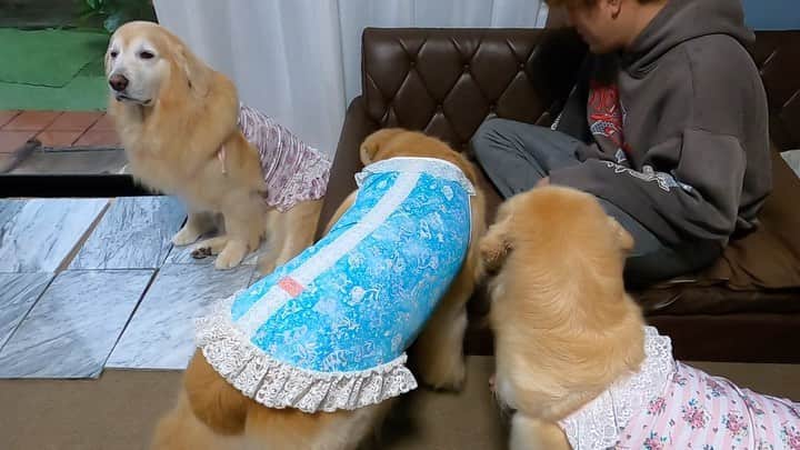 まゆみのインスタグラム