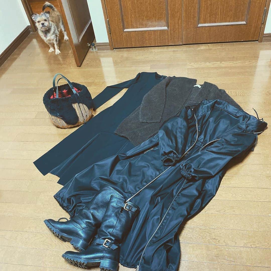 松尾たいこのインスタグラム
