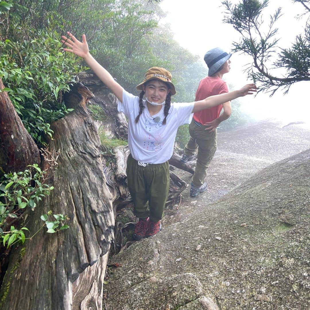 井上咲楽さんのインスタグラム写真 - (井上咲楽Instagram)「. 屋久島記録！こを苔むす森めちゃくちゃ神秘的だったな〜。雲の中に入ってるってわかりました。雲が流れてきてる感覚、不思議！ いつもお天気のTシャツを着る、芦原先生です。積乱雲とてるてるぼうず」10月18日 10時15分 - bling2sakura