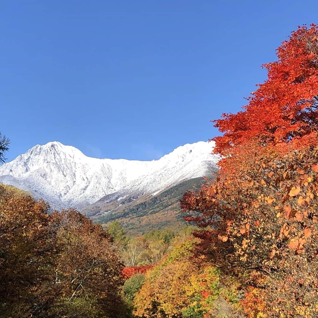 【公式】八ヶ岳高原ロッジ・八ヶ岳高原音楽堂のインスタグラム