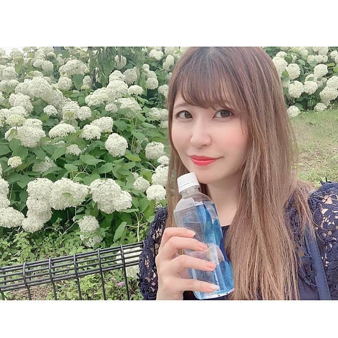 上村彩子のインスタグラム：「いつぞやの写真をアップするシリーズです。 . たぶんお仕事後の写真です笑 基本的には自分で持ち込むのですが 現場によってはお水をいただけたりします！有り難や！ なので時たまバッグの中に複数ペットボトルが入っていることも笑 もしその場で飲まなくても次の現場で使えるのでやはり有り難い。 . そして真っ白が綺麗なアジサイ。 緑の葉っぱが余計に綺麗に見えて素敵💓」