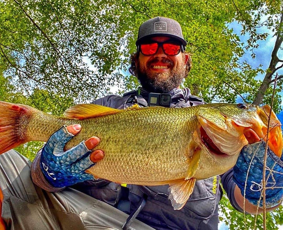 Filthy Anglers™さんのインスタグラム写真 - (Filthy Anglers™Instagram)「Those Filthy gloves once again doing some work! Check out this fatty pulled in by @teampeople_fishing a few months ago (sorry I missed it.) Doing a little diving back into the #filthyanglers archives to see what we missed! If you catch a good fish in our gear, shades, gloves etc. make sure you tag us! Congrats on the catch buddy you are Certified Filthy www.filthyanglers.com #fishing #filthy #angler #anglerapproved #catchandrelease #angler #bigbass #bass #smsllmouth #kayay #mlf #bassmasters #bmp #monsterbass」10月18日 3時22分 - filthyanglers