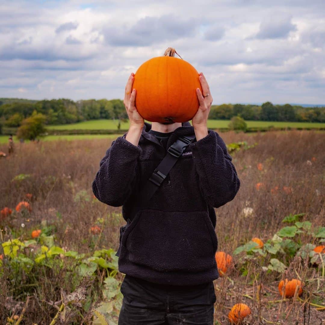 のインスタグラム：「Went pumpkin patchin🧨🎃」