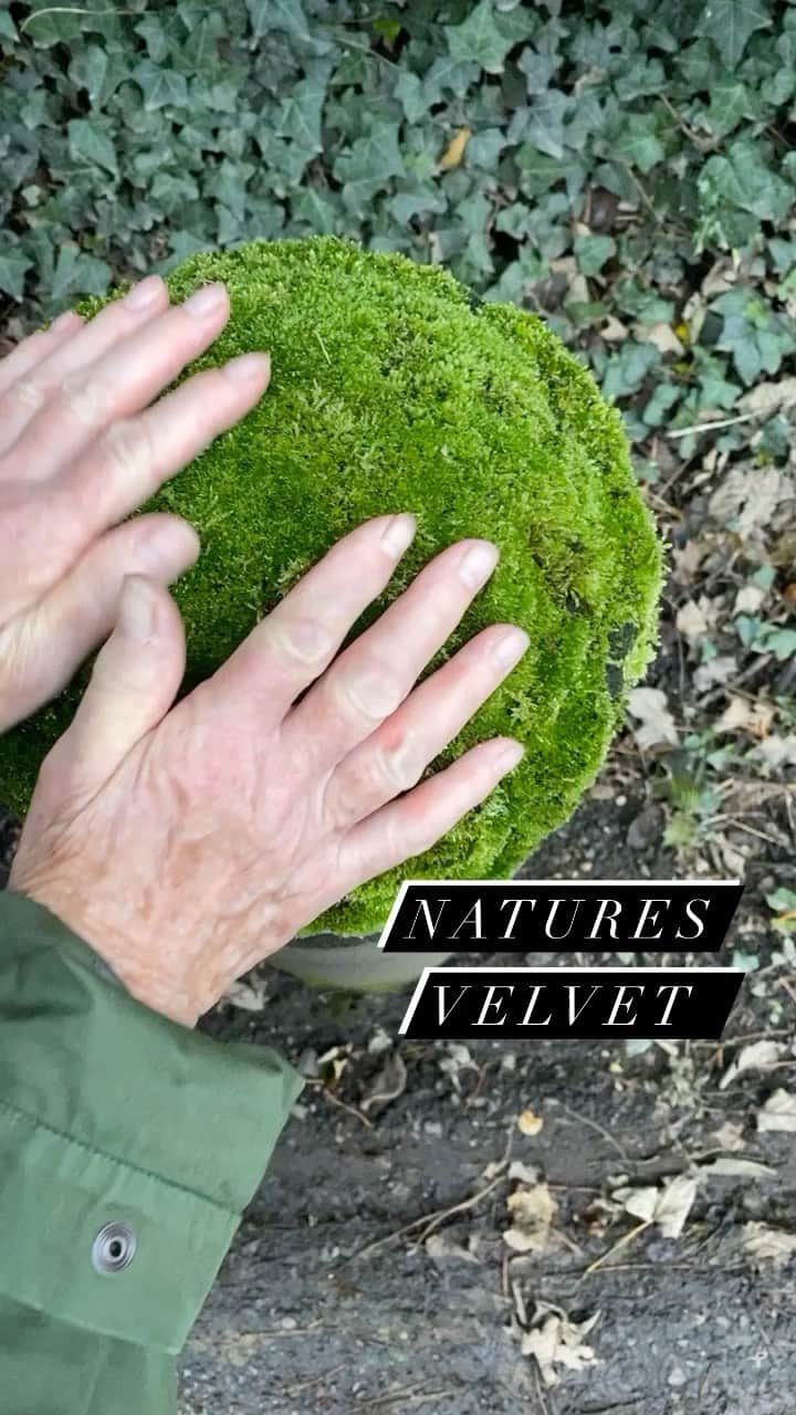 JO BAKERのインスタグラム：「Natures velvet.... a moss covered man made bollard in the middle of a road... to touch and feel things helps us connect. These are my mums hands and we touched all the moss we could along our walk today...... find #moss feel #happy it helps!!! #nature」