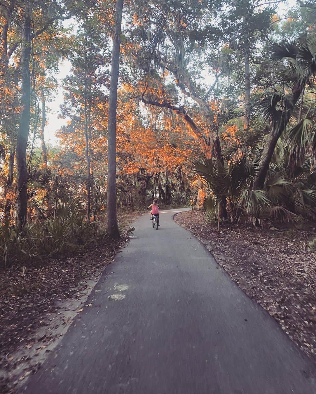 ブリット・ニコルのインスタグラム：「adventures. 🧡」