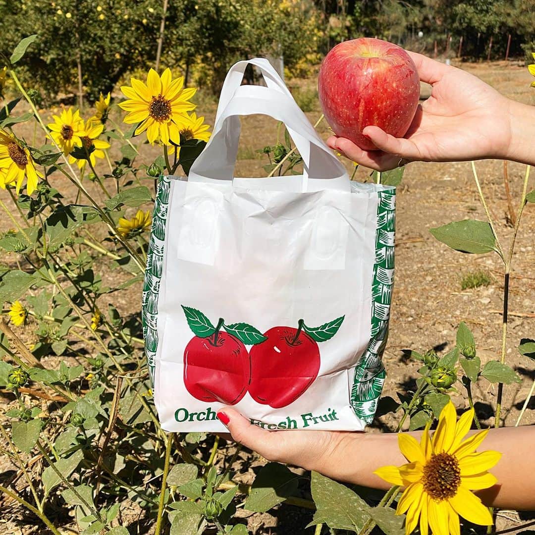 フリーディアのインスタグラム：「🌼🍎 🌼🍎🌼🍎🌼🍎🌼」