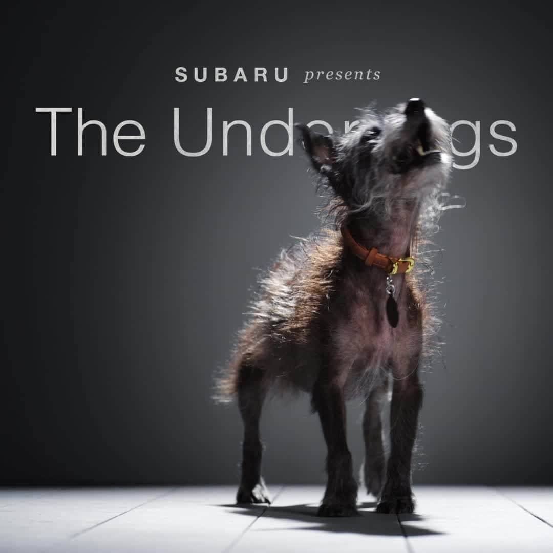 Subaru of Americaのインスタグラム