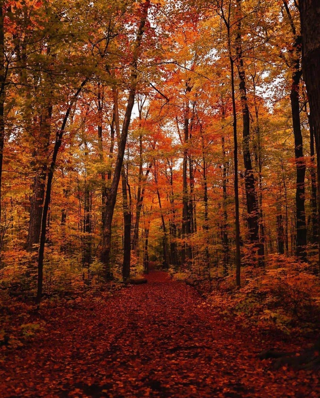 FOLKのインスタグラム：「Take me here. Today’s favorites: 1.) @ashkanhobian 2.) @fabian.huebner 3.) @j.scud 4.) @jguzmannn 5.) @marvin_walter 6.) @jwirtalla」