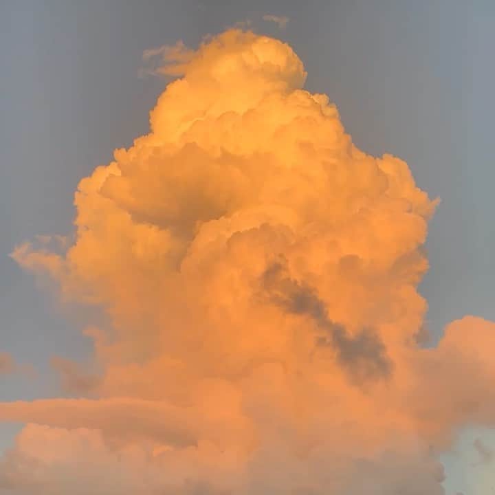 ブライアン・アダムスのインスタグラム：「Cloud number 9 #bryanadamscloudnumber9」