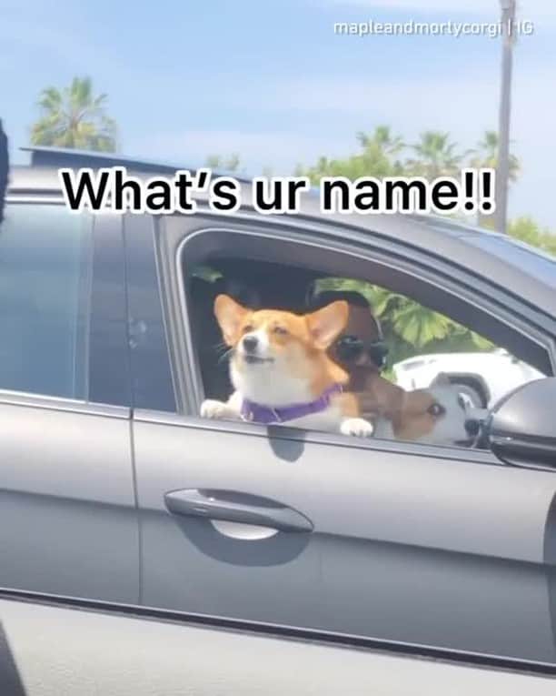 9GAGのインスタグラム