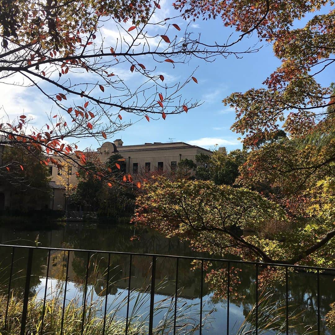 前谷楓さんのインスタグラム写真 - (前谷楓Instagram)「おはようございます🌞 関学の写真スポットを紹介します〜✨ 私はよく関学の椰子の木🌴を撮ることが好きなのですが、、笑 今回は、商学部棟へ向かう途中にある好きな風景の写真を！秋バージョン🍁🌝 ． #関西学院大学#関学#写真スポット#写真映え#写真 #写真撮影 #オススメ#オススメスポット#紅葉#秋#学校紹介#大学#写真は心のシャッター #ミスキャンパス関西学院大学2020 #ミスキャンパス関西学院大学#ミスキャンパス#ミスコン#エナジー溢れるお姉さん」10月18日 7時21分 - bibi_pilates