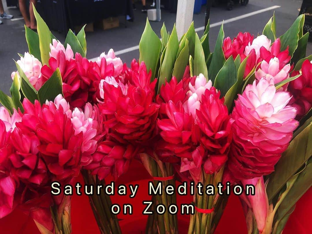 Honolulu Myohoji Missionさんのインスタグラム写真 - (Honolulu Myohoji MissionInstagram)「🧘🏽  Honolulu Myohoji reopened weekly meditation on every Saturdays at 10:00am - 11:00am on Zoom! To attend our Zoom meditation class, please call or email below: 808-524-7790 info@honolulumyohoji.org  Even though it’s not a natural state of mind, there are so many people suffering from anxiety and excess stress.  Let’s make some time to focus on your mind 🧘🏽‍♀️  Looking forward to seeing you on Zoom! * * * #ハワイ #ハワイ好きな人と繋がりたい  #ハワイだいすき #ハワイ好き #ハワイに恋して #ハワイ大好き #ハワイ生活 #ハワイ行きたい #ハワイ暮らし #オアフ島 #ホノルル妙法寺　#思い出#meditation #瞑想 #honolulumyohoji #honolulumyohojimission #御朱印女子 #開運 #穴場 #パワースポット #hawaii #hawaiilife #hawaiian #luckywelivehawaii #hawaiiliving #hawaiistyle #hawaiivacation」10月18日 8時18分 - honolulumyohoji