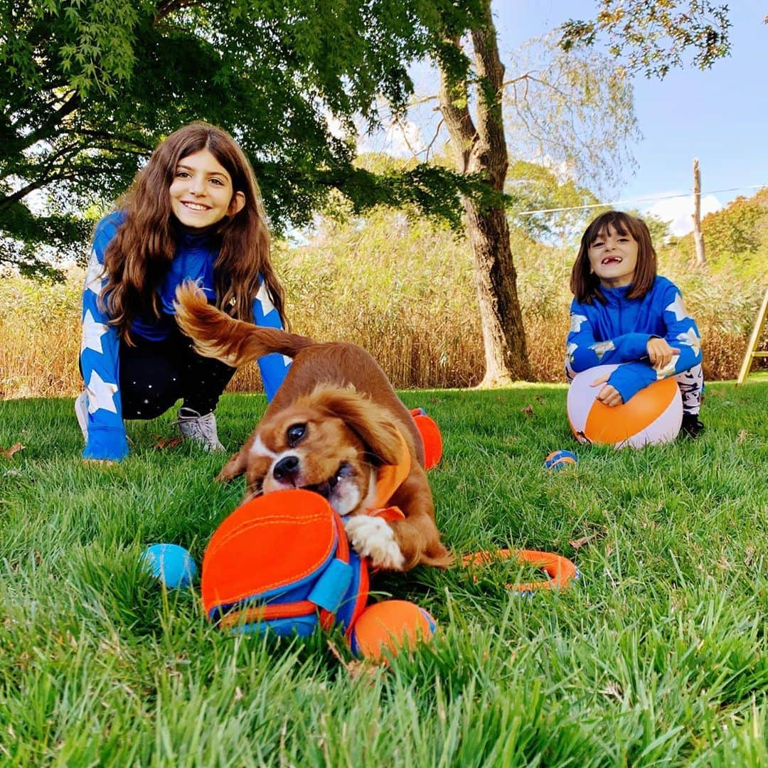 Ilana Wilesさんのインスタグラム写真 - (Ilana WilesInstagram)「Happy #NationalFetchyDay! We’re celebrating with Frankie in our backyard with tons of toys from @ChuckitFetchGames. At the moment, Frankie is much better at running after the toys than bringing them back. We’re still working on it! All pups deserve toys to play fetch, so if you want to make a dog happy today, go to the link in my bio to play Chuckit!’s virtual fetch challenge. For each virtual ball thrown, Chuckit! will donate a toy to a shelter dog in partnership with the North Shore Animal League America. #MakeFetchHappen #ChuckitPartner」10月18日 8時30分 - mommyshorts