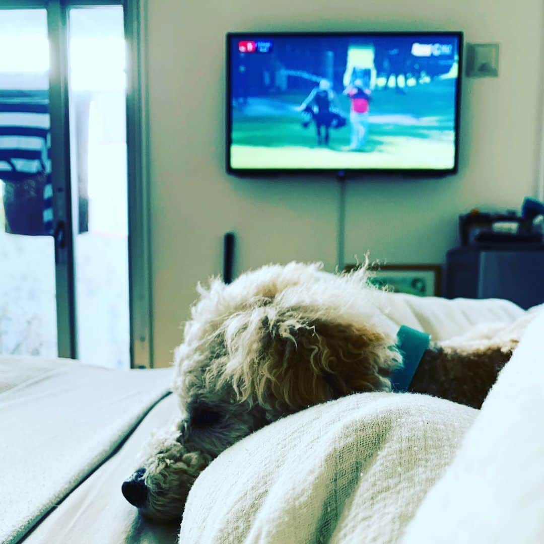 のインスタグラム：「日本オープンゴルフ選手権最終日⛳️トップスタートしました！ 頑張れ〜中西直人＆キャディー」