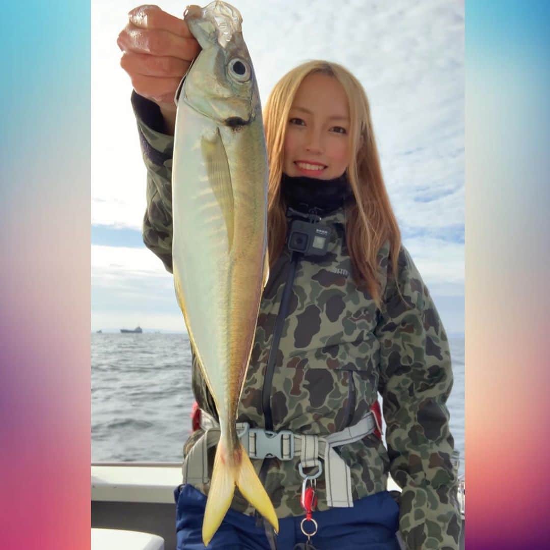 のインスタグラム：「. 自己新記録でたー😍‼️ 39.5cmのバリおっきいアジ❤️」