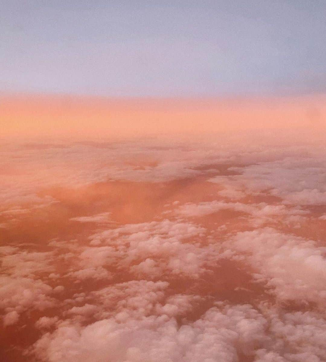 Wet Sealのインスタグラム：「Head in the clouds ☁️ via @druzyveins」